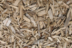 biomass boilers Withystakes